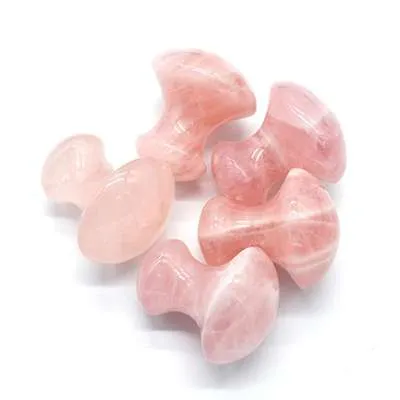 gua sha mushroom wholesale