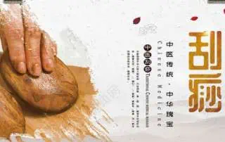 gua sha wholesale in germany