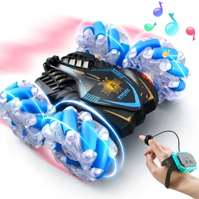 Electronic Toys