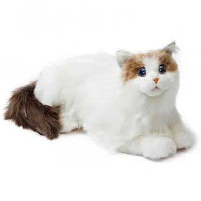 ai pet toys ai pet toys