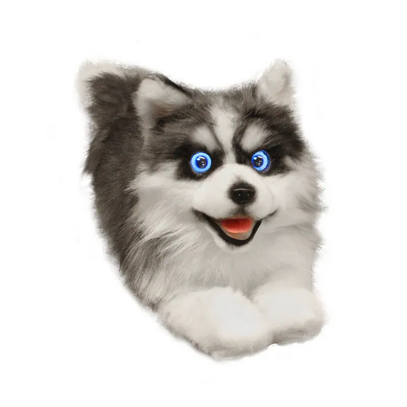 AI Dog AI Dog