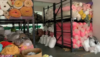 Plush Material Plush Material