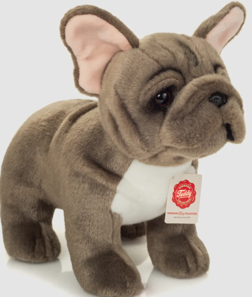 dog toy